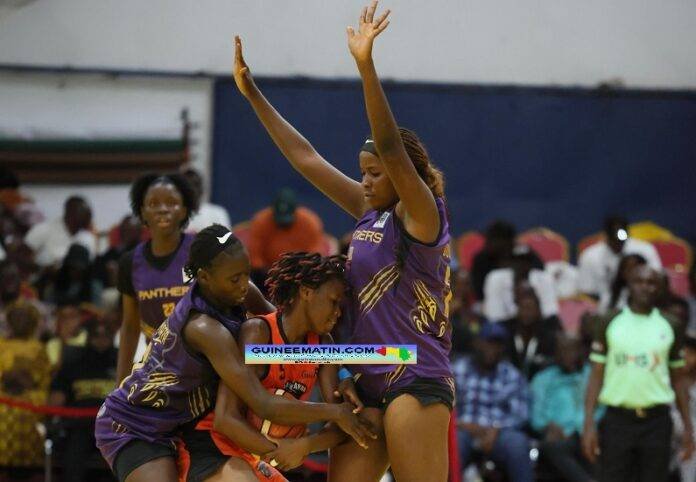 Black Mamba domine les Panthers