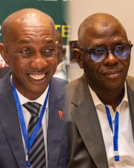 FIFA : deux responsables de la FGF nommés dans des commissions FIFA : deux responsables de la FGF nommés dans des commissions